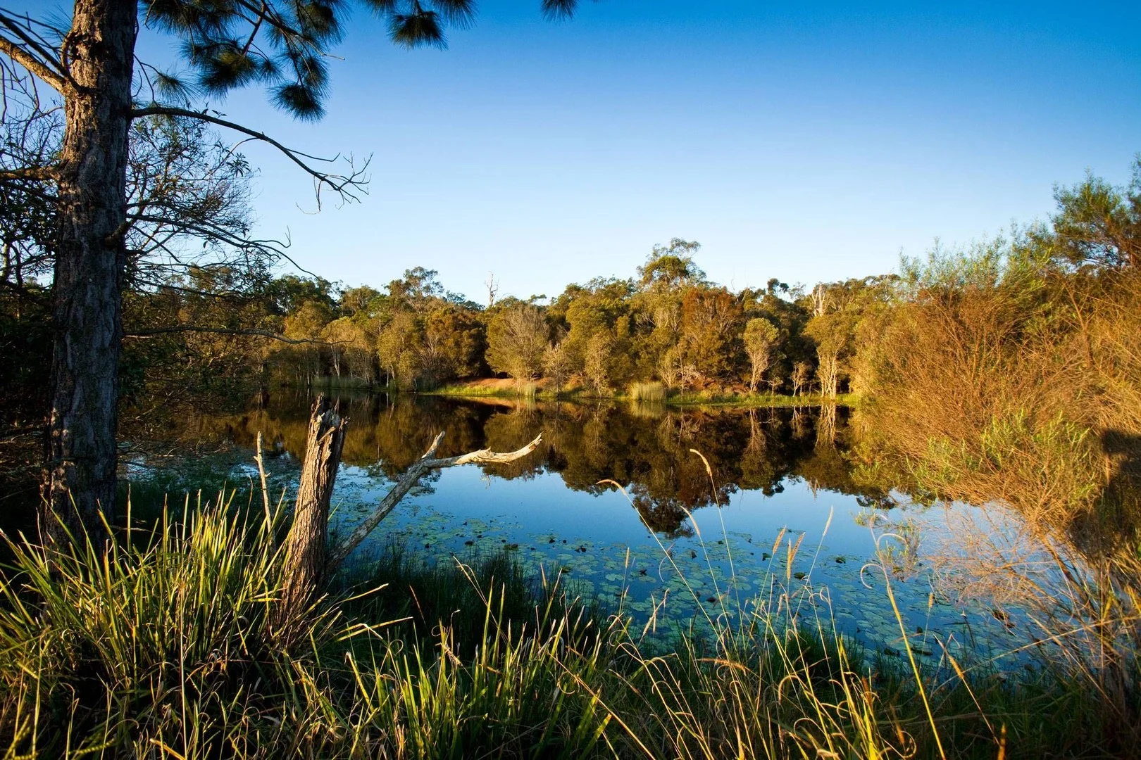 Additional image 13 of 1/186 Ford Road, Burbank QLD 4156