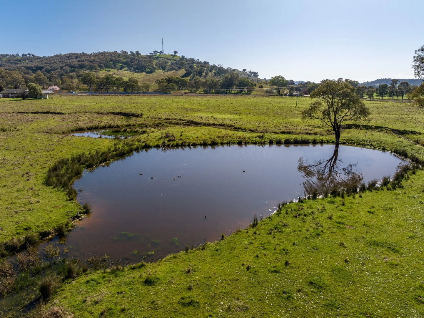 Additional image 14 of 2051 Adelong Road, Tumblong NSW 2729