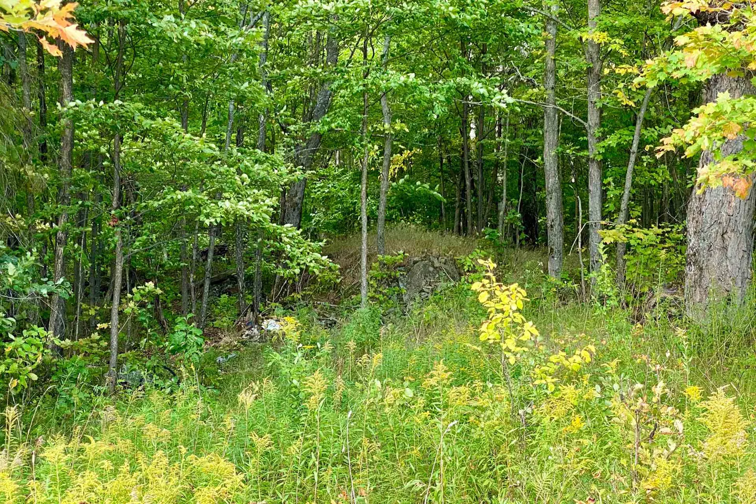 Additional image 3 of 0 Clear Lake Road