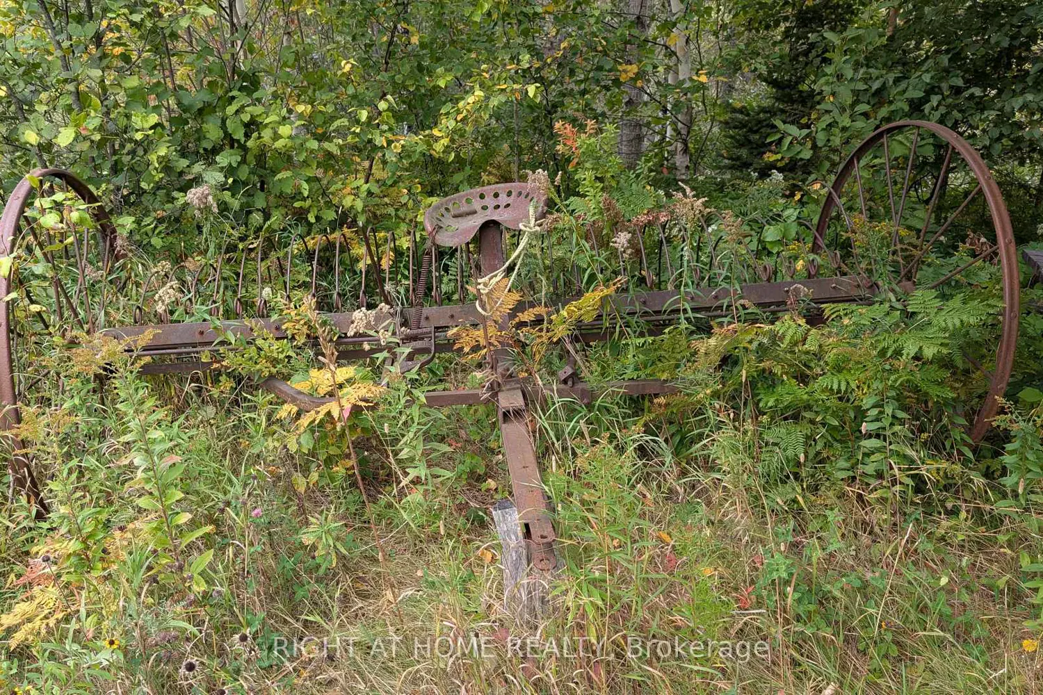 Additional image 13 of 58 Bellefeuille Road