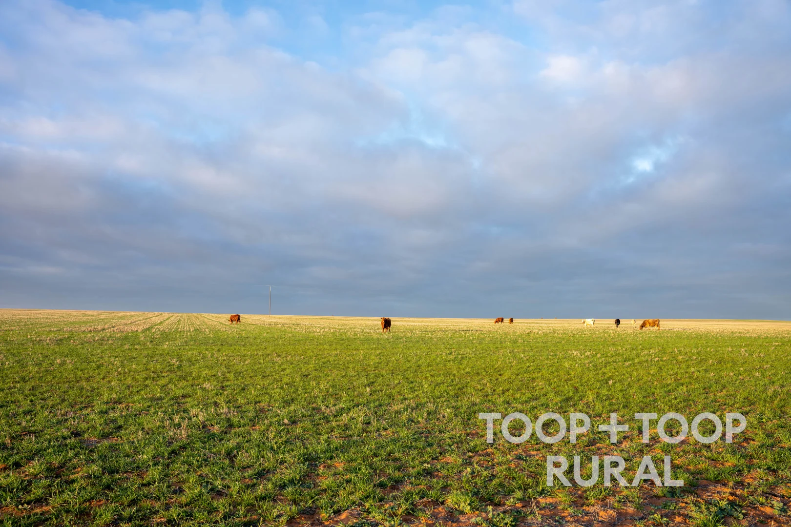 Additional image 13 of 735 Koch Road (via Loxton), Taldra SA 5311