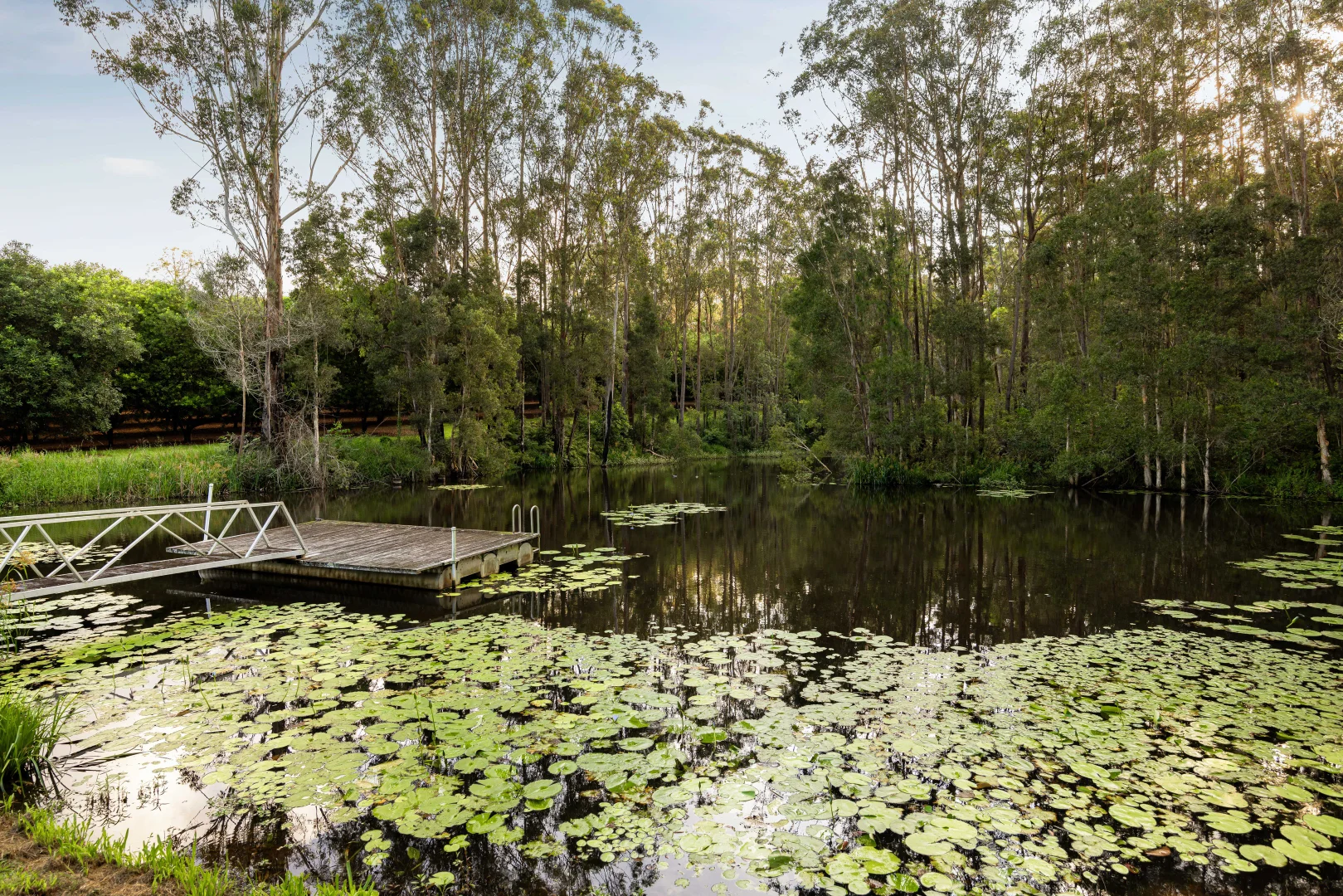 Additional image 21 of 29 Woodrows Road, Glass House Mountains QLD 4518