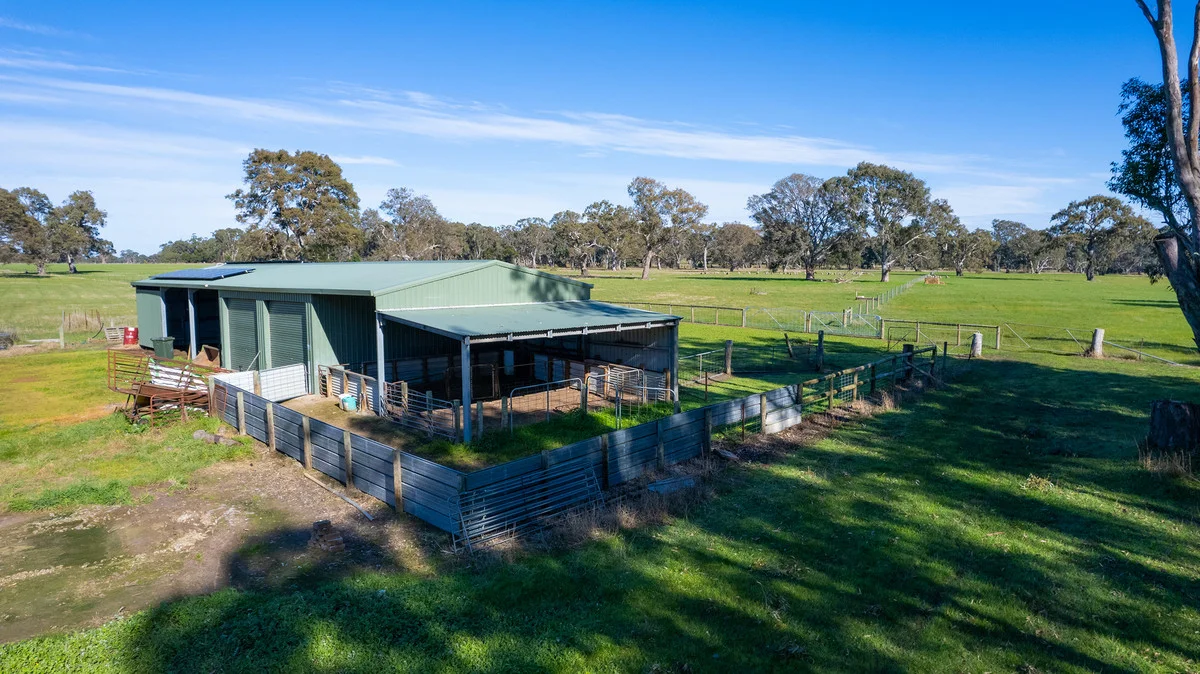 Additional image 11 of 252 Wannon Nigretta Road, Wannon VIC 3301
