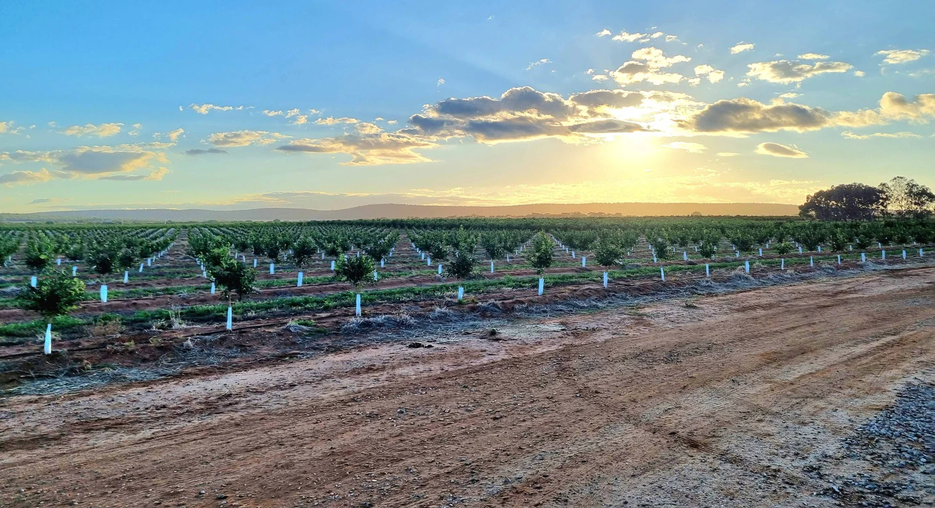 Additional image 13 of Nericon NSW 2680