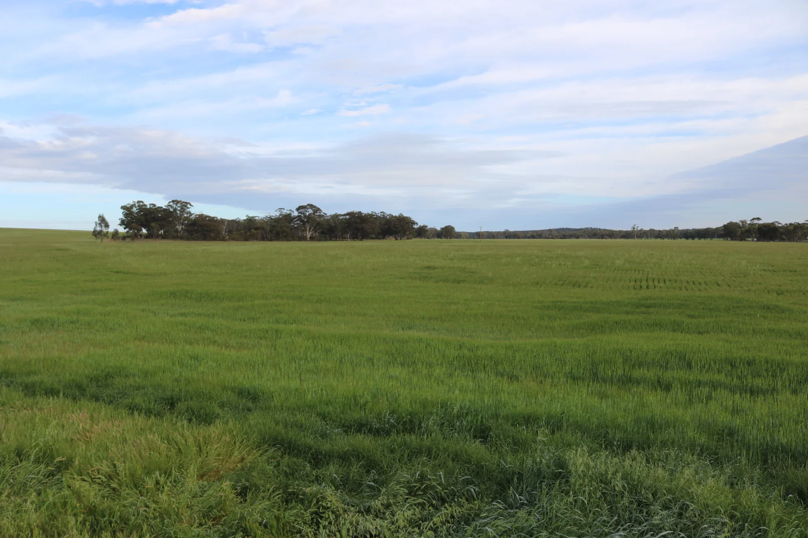 Additional image 14 of Maxwells Lane, Korong Vale VIC 3520