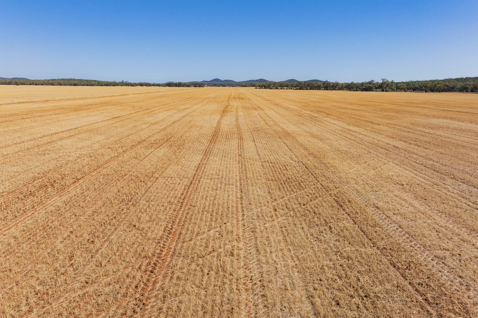 Additional image 11 of 2880 Tallebung Road, Condobolin NSW 2877