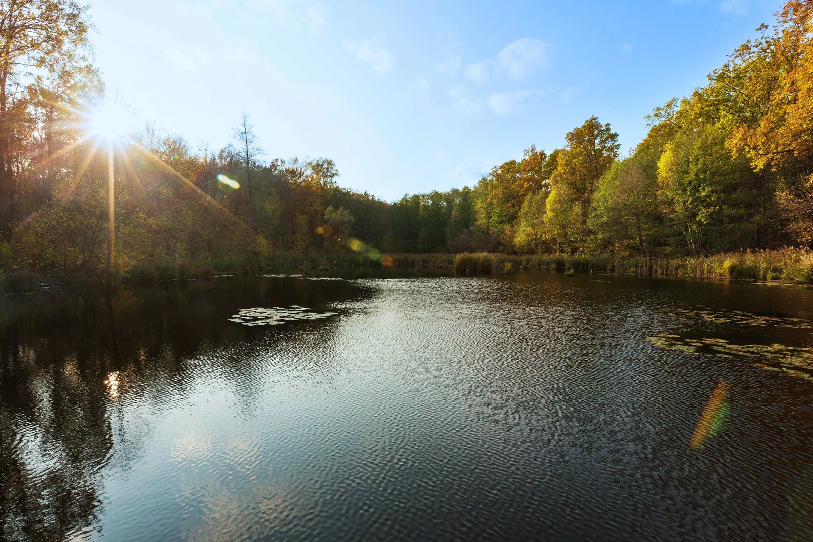 Additional image 17 of 1/186 Ford Road, Burbank QLD 4156