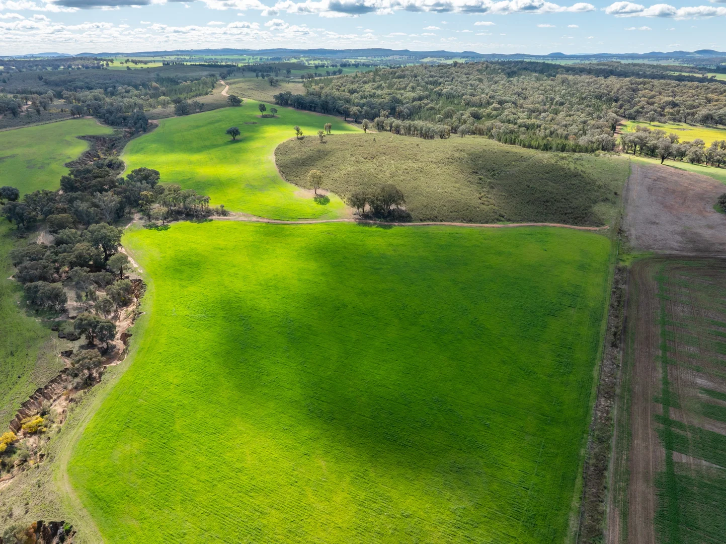 Additional image 34 of 100 Grahams Lane, Grenfell NSW 2810