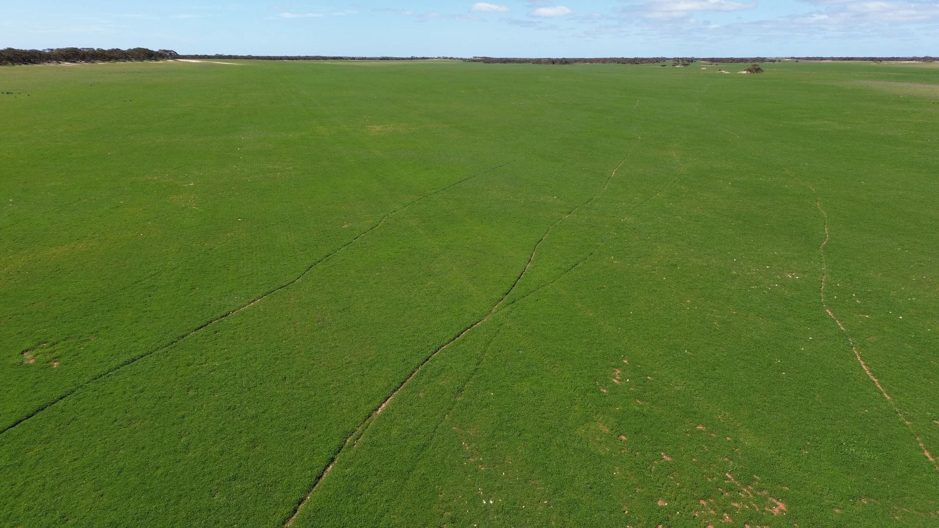 Additional image 10 of Lot 2 Palabie Road, Wudinna SA 5652