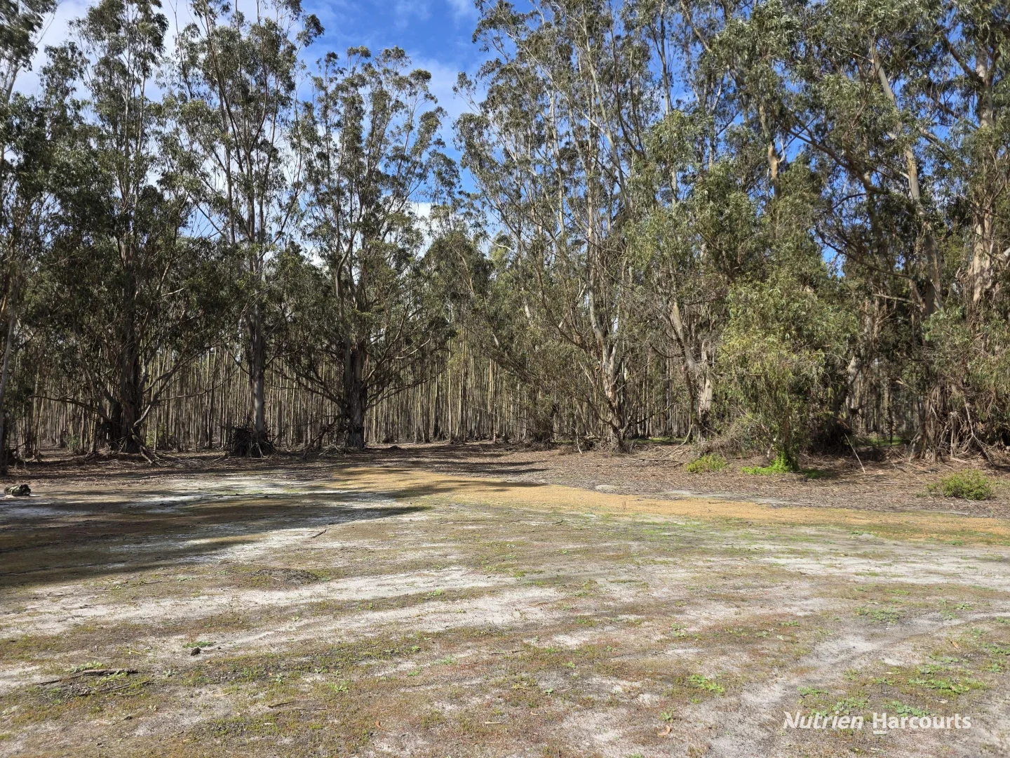 Additional image 9 of 1458 Palmdale Road, Palmdale WA 6328