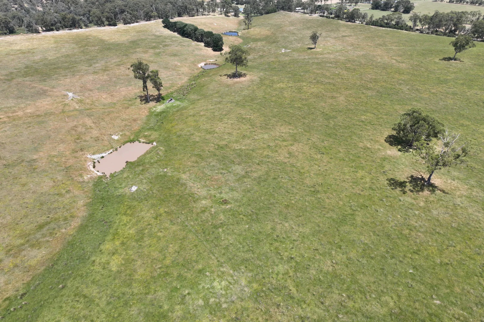 Additional image 6 of Lot 2 Hyland Highway, Yarram VIC 3971