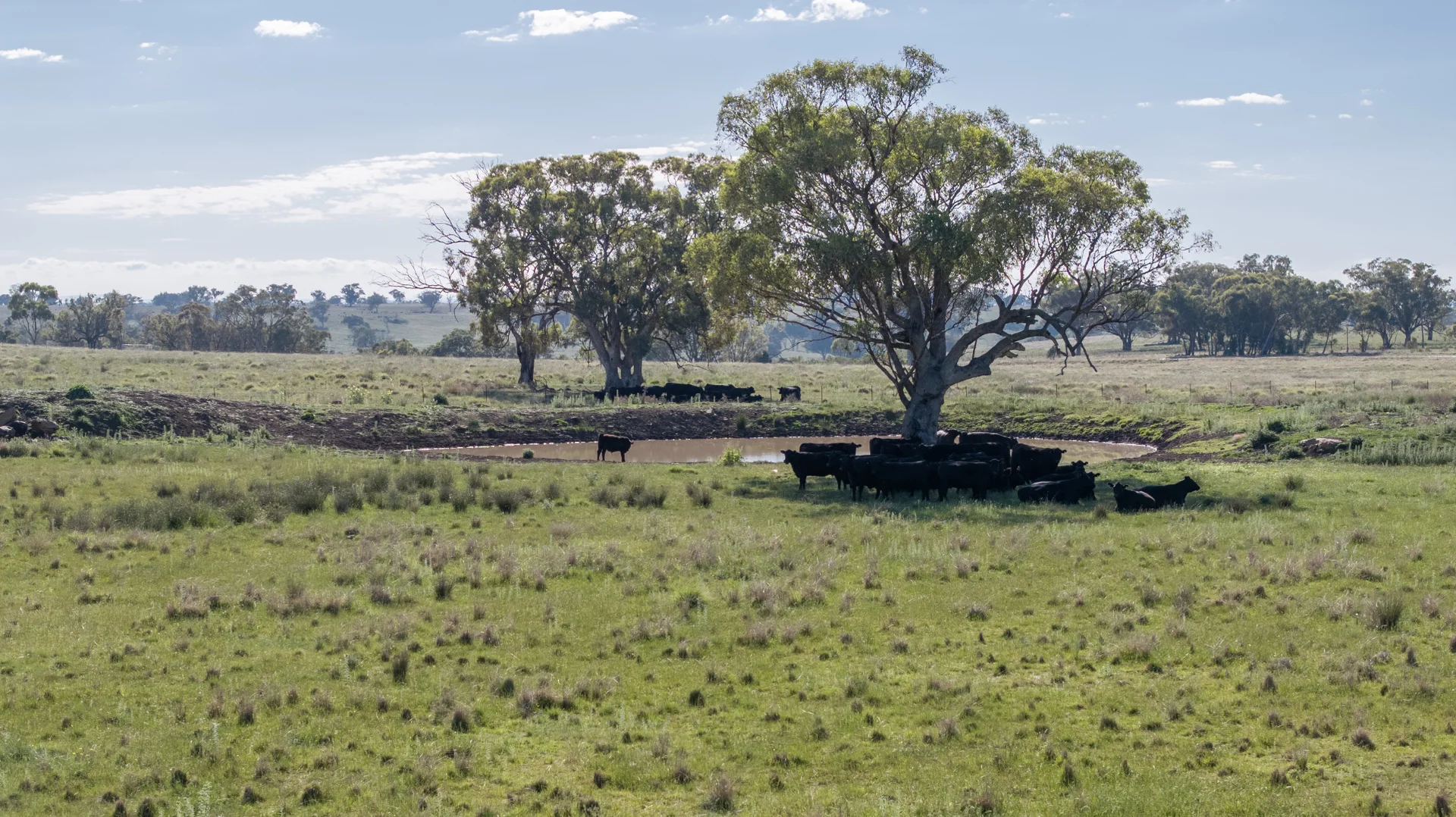 Additional image 25 of TIMBYDALE NEWELL HIGHWAY, Coonabarabran NSW 2357