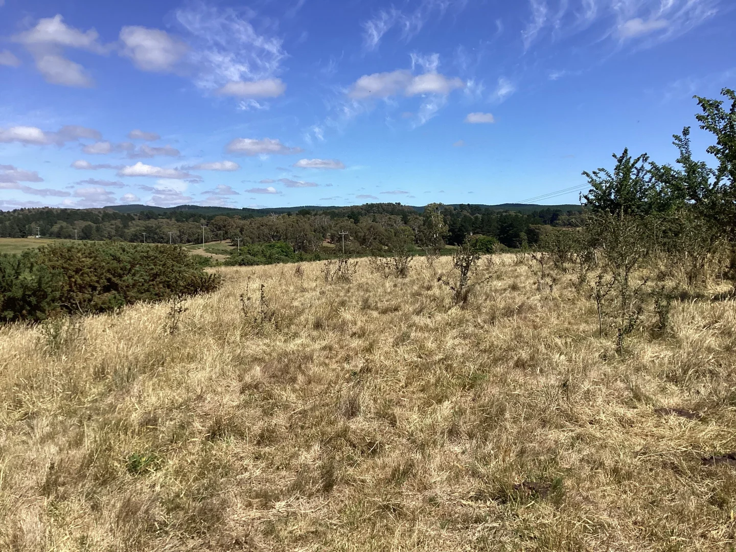 Additional image 2 of 10 & 10a Daniels Road, Scarsdale VIC 3351