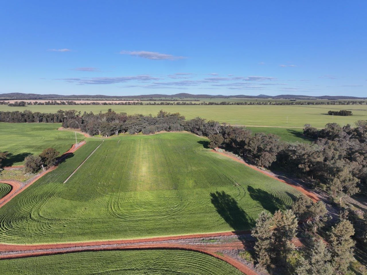 Additional image 4 of Part Westbury Goldfields Way, Barmedman NSW 2668