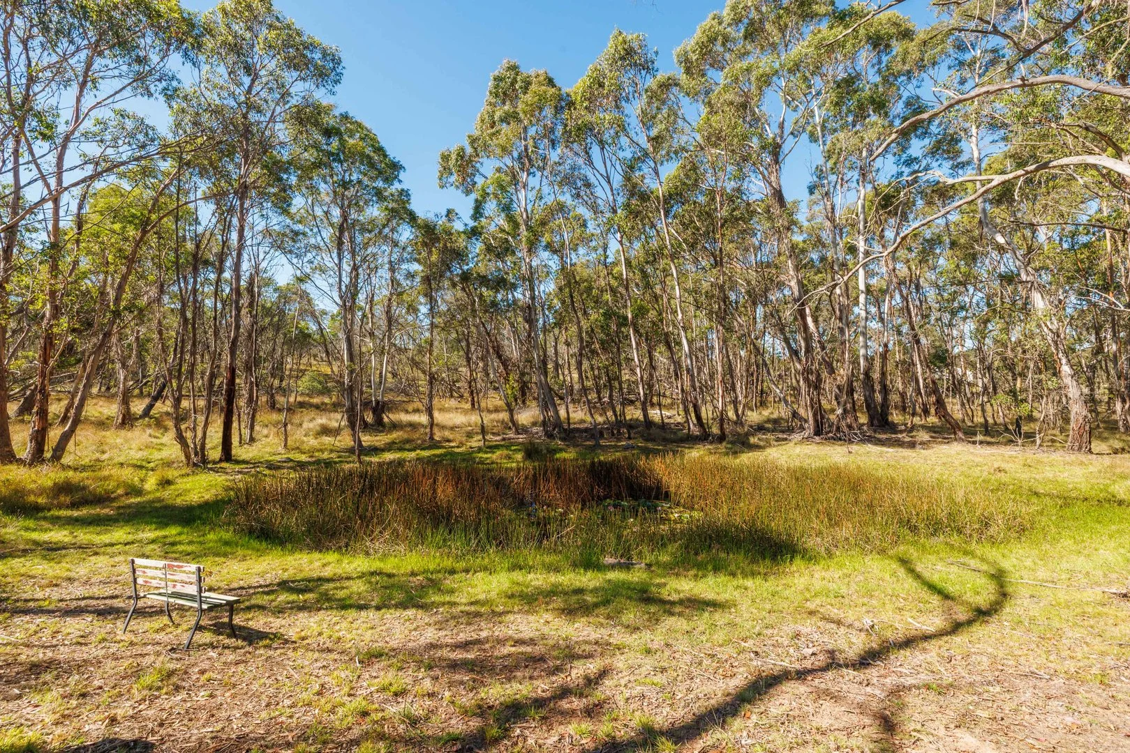 Additional image 25 of 91 Rosehill Road, Bombala NSW 2632