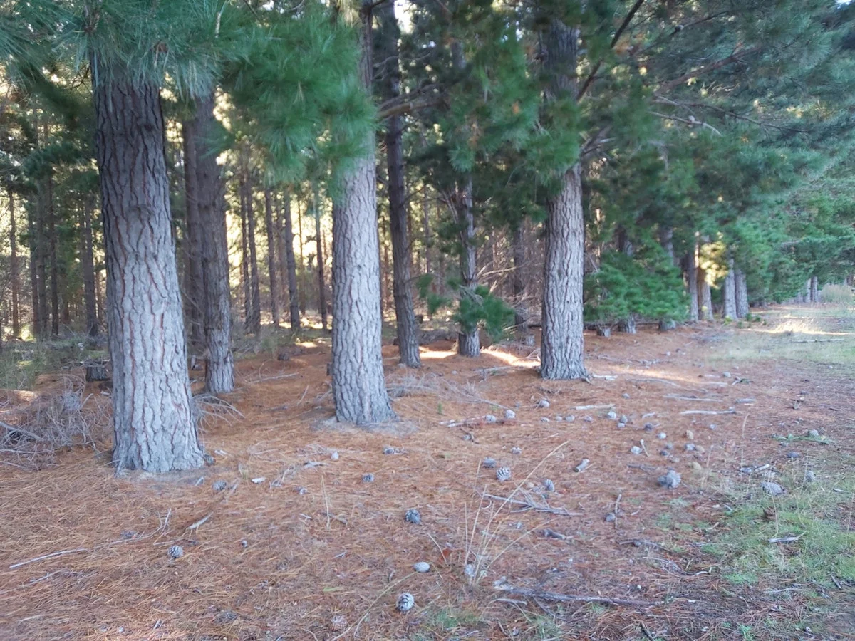 Additional image 2 of Tasman Highway, Little Swanport TAS 7190