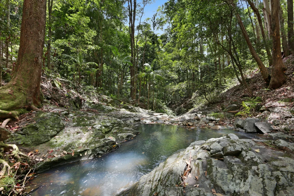 Additional image 25 of 138 Araluen Road, Tallebudgera Valley QLD 4228