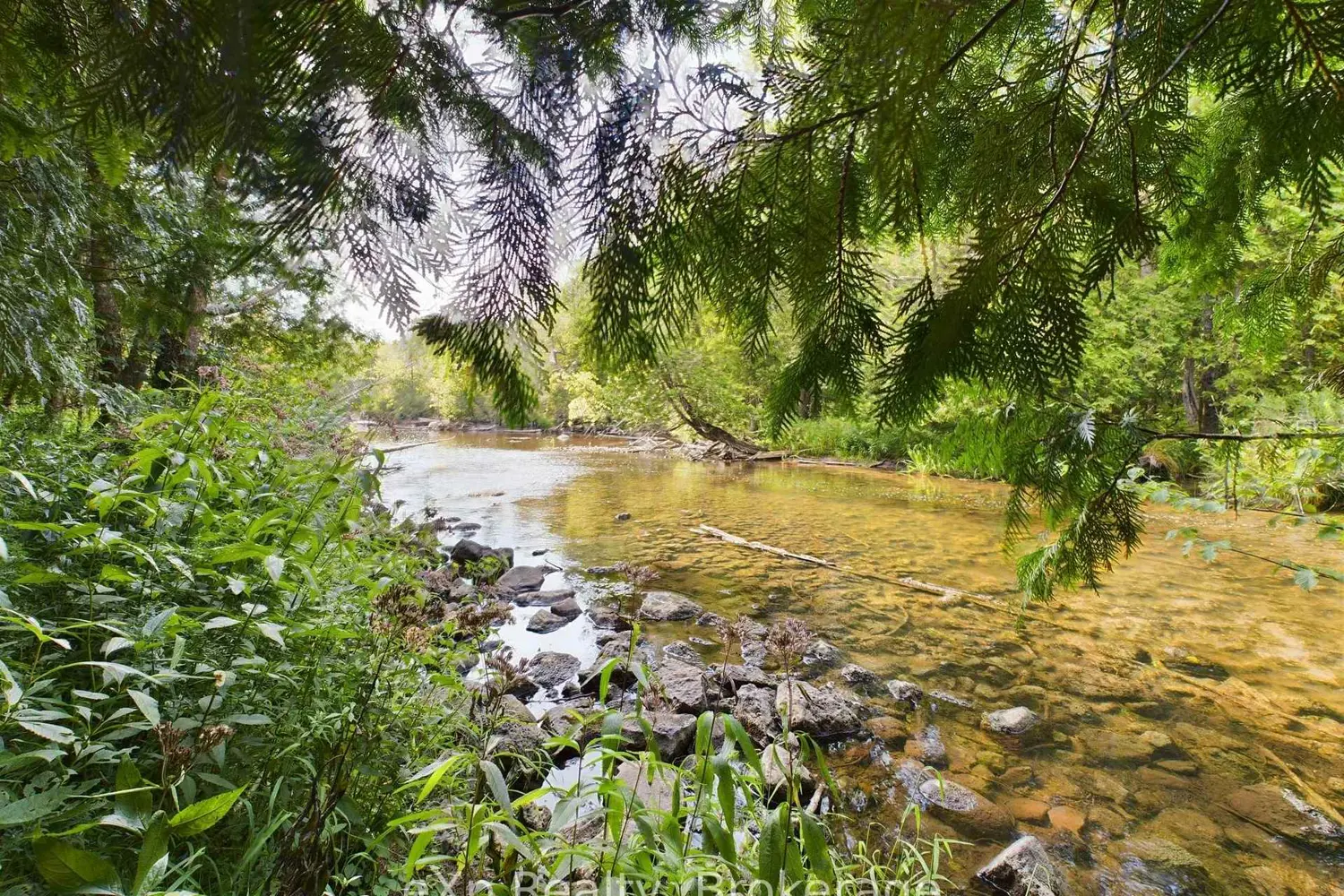 Additional image 11 of 502265 Concession 10 Ndr Concession