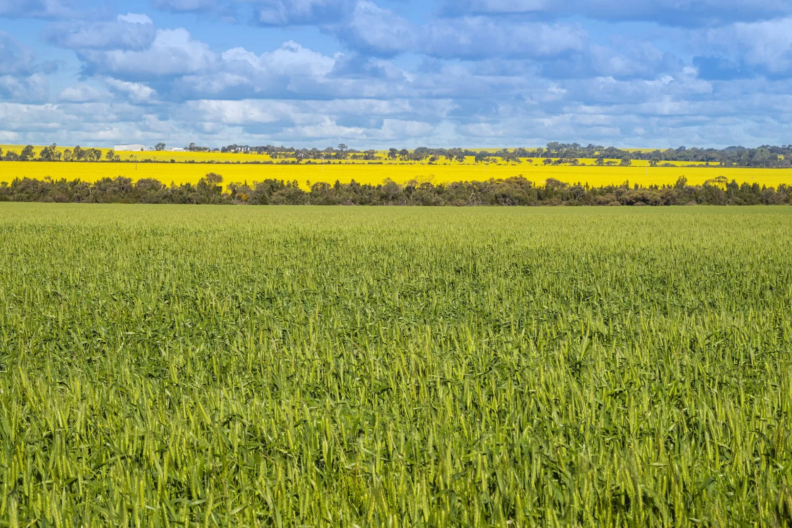 Midlands Road, Marchagee WA 6515