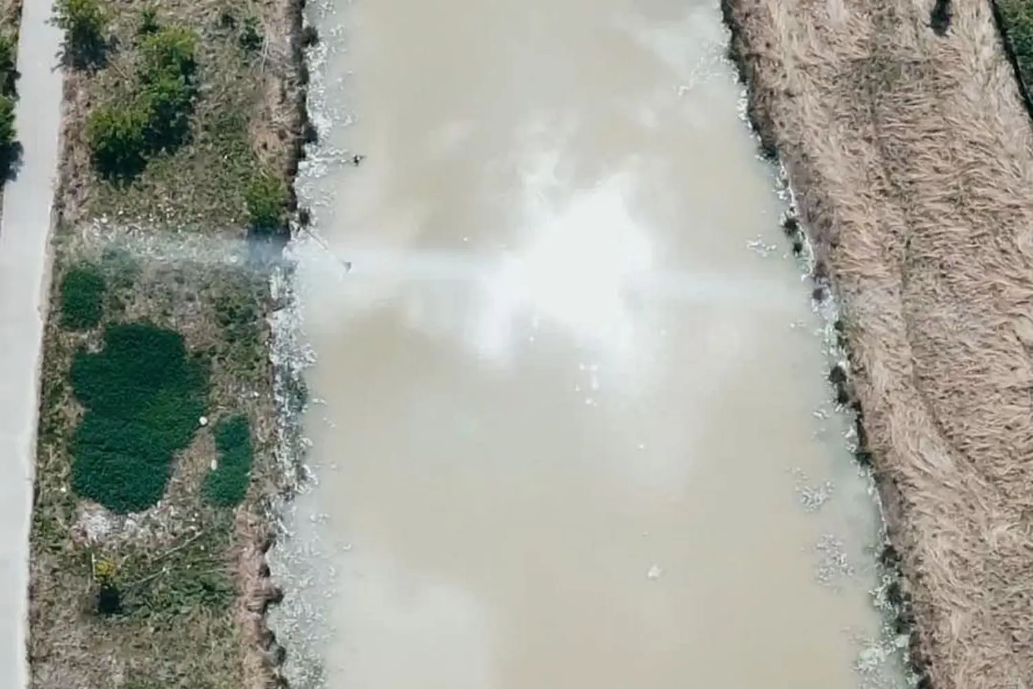 Additional image 5 of 4146 Fallingbrook Road