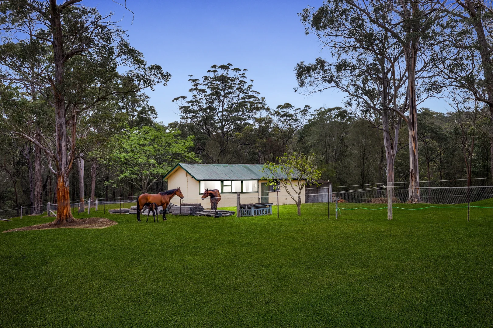 Additional image 18 of 104 Cabbage Tree Road, Grose Vale NSW 2753