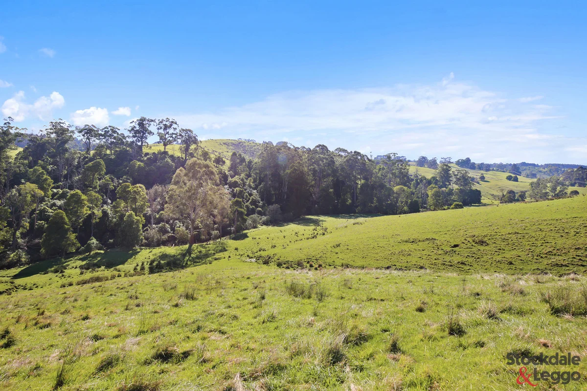 Additional image 11 of 515 Clear Creek Road, Mirboo VIC 3871