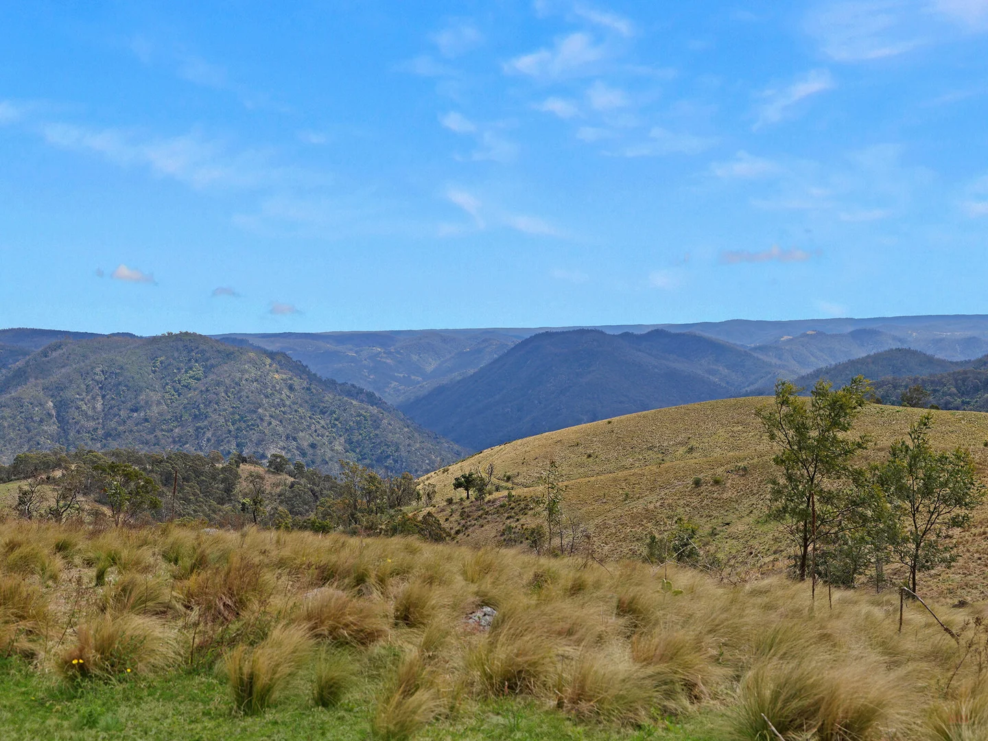 Additional image 31 of 116 Pheasant Gully Road, Bullio NSW 2575