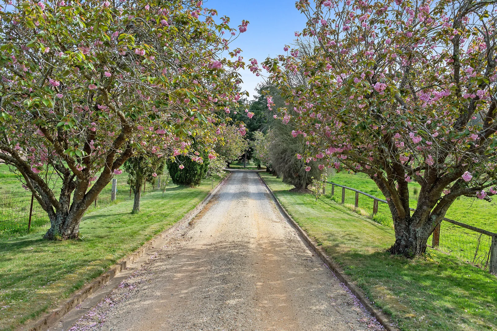 Additional image 3 of 202 Merrigang Street, Bowral NSW 2576