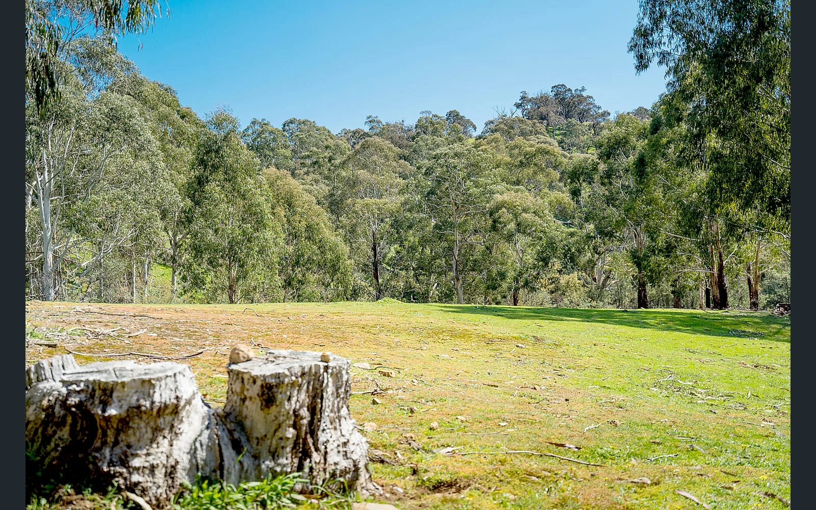 Additional image 4 of 21 Doyle Street, Reedy Creek VIC 3658