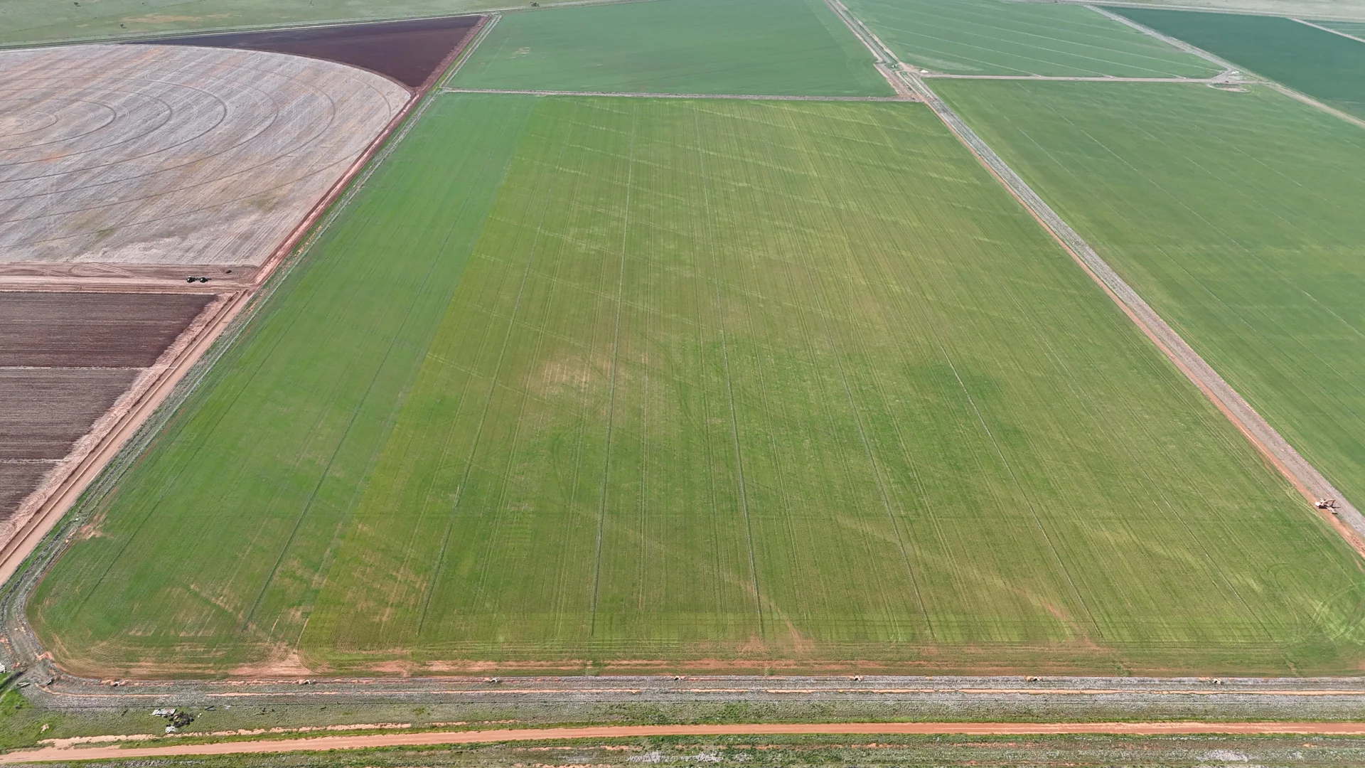 Additional image 4 of 69-70 Leonard Road, Coleambally NSW 2707