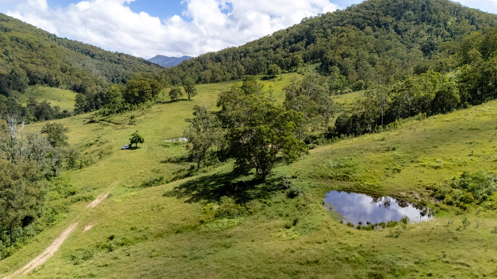 Additional image 13 of 382 Norwood Lane, Mount George NSW 2424