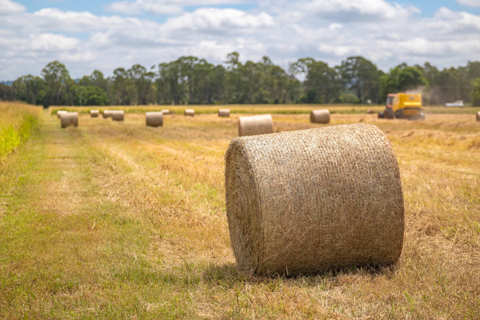 Additional image 21 of 188 Ferris Road, Murgon QLD 4605