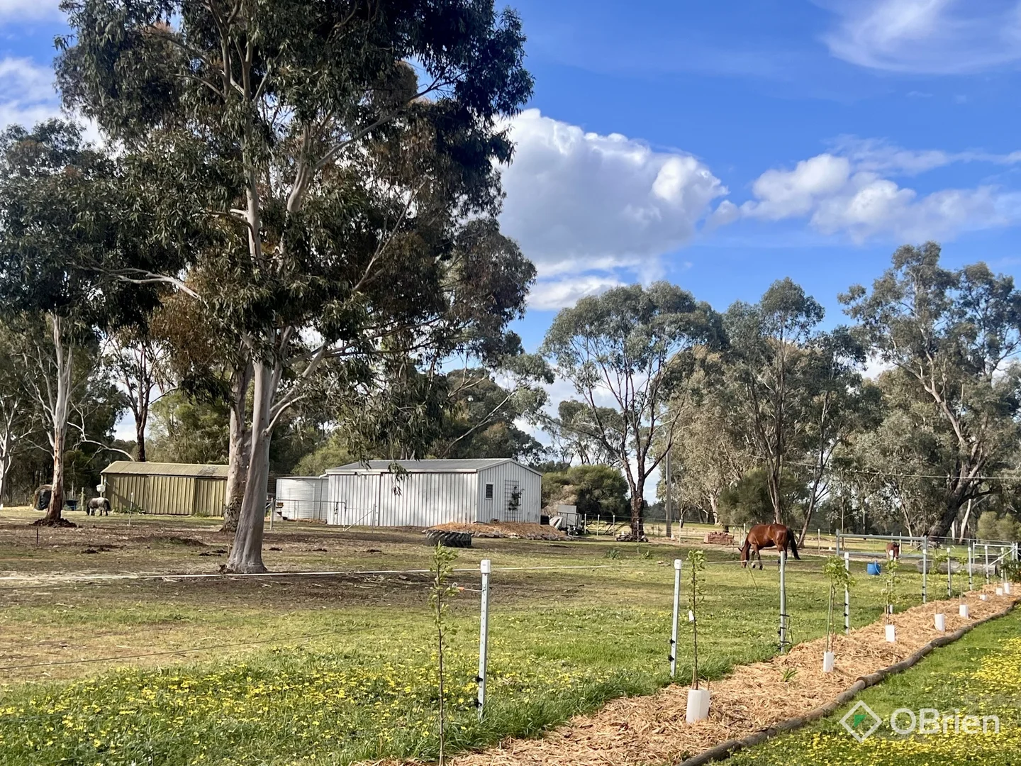 Additional image 36 of 111 Everitt Road, Peechelba VIC 3678