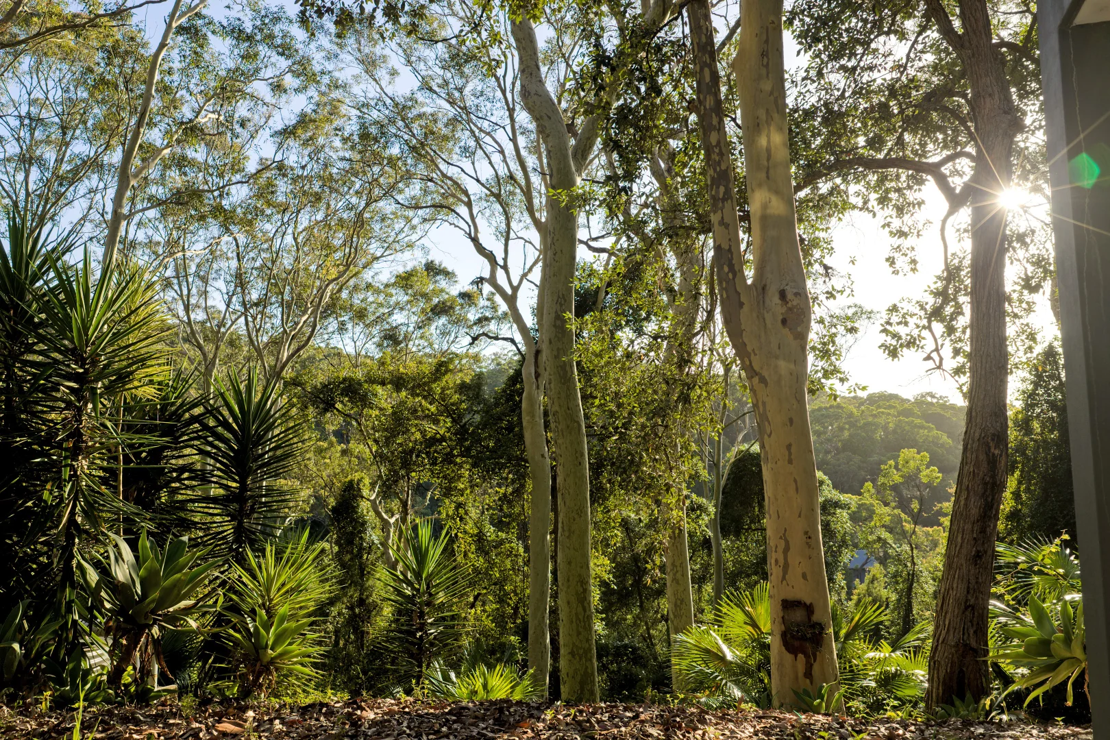 Additional image 4 of 15 Barkala Road, Bayview NSW 2104