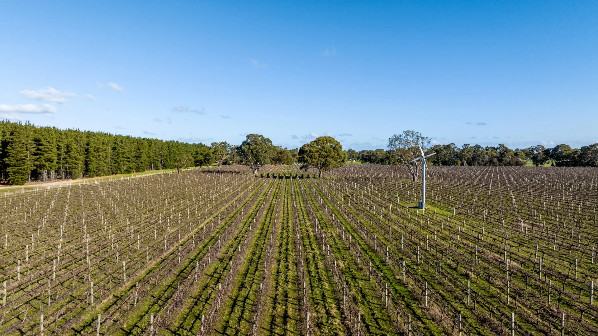 Additional image 14 of 719 Casterton Road, Penola SA 5277