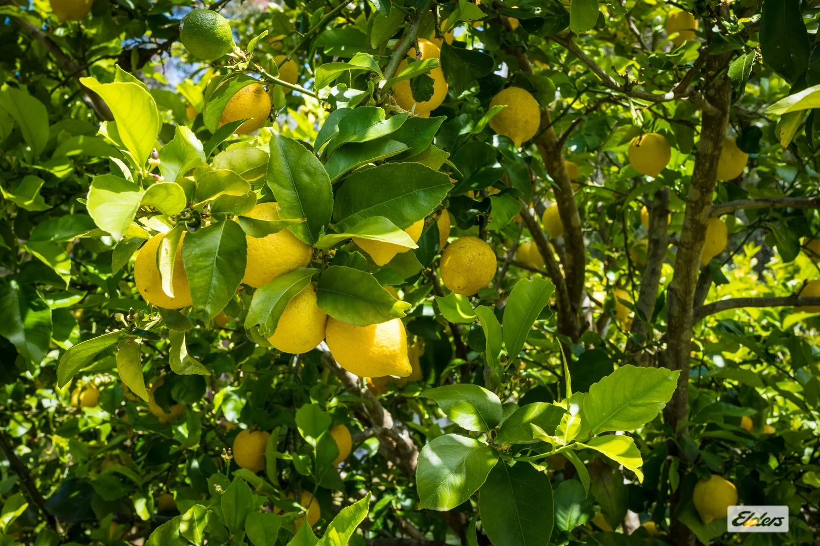 Additional image 21 of 63 Newpark Road, Brogo NSW 2550