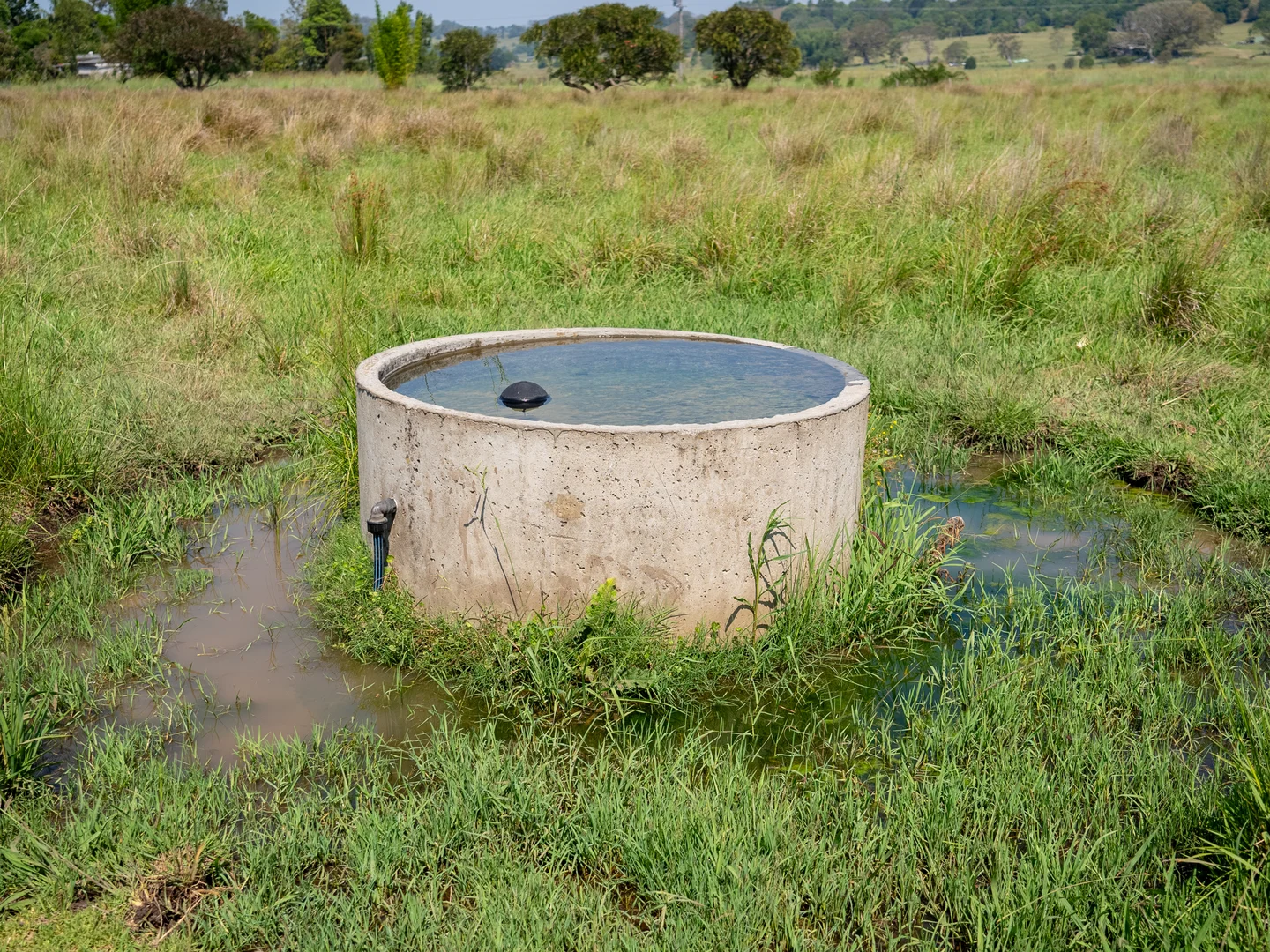 Additional image 11 of 279 Gundurimba Road, Monaltrie NSW 2480