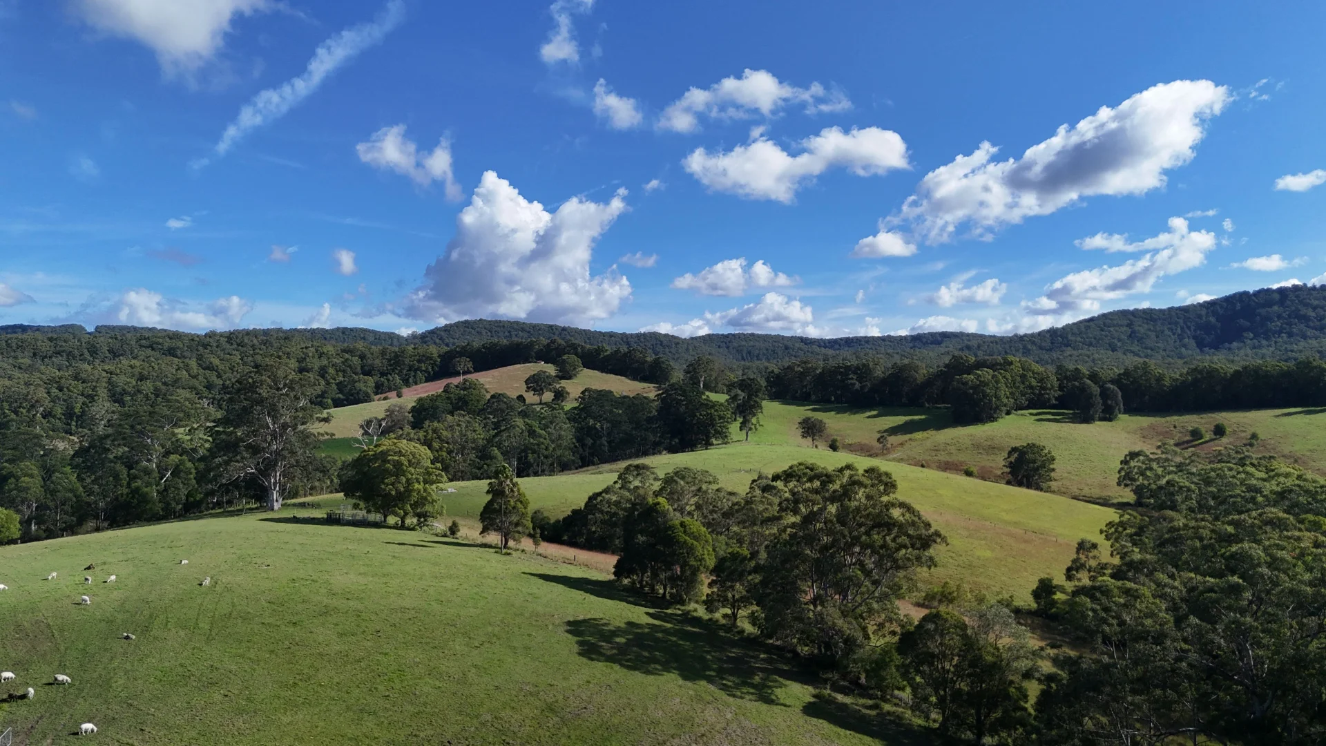 Additional image 3 of 1433 Wootton Way, Wootton NSW 2423