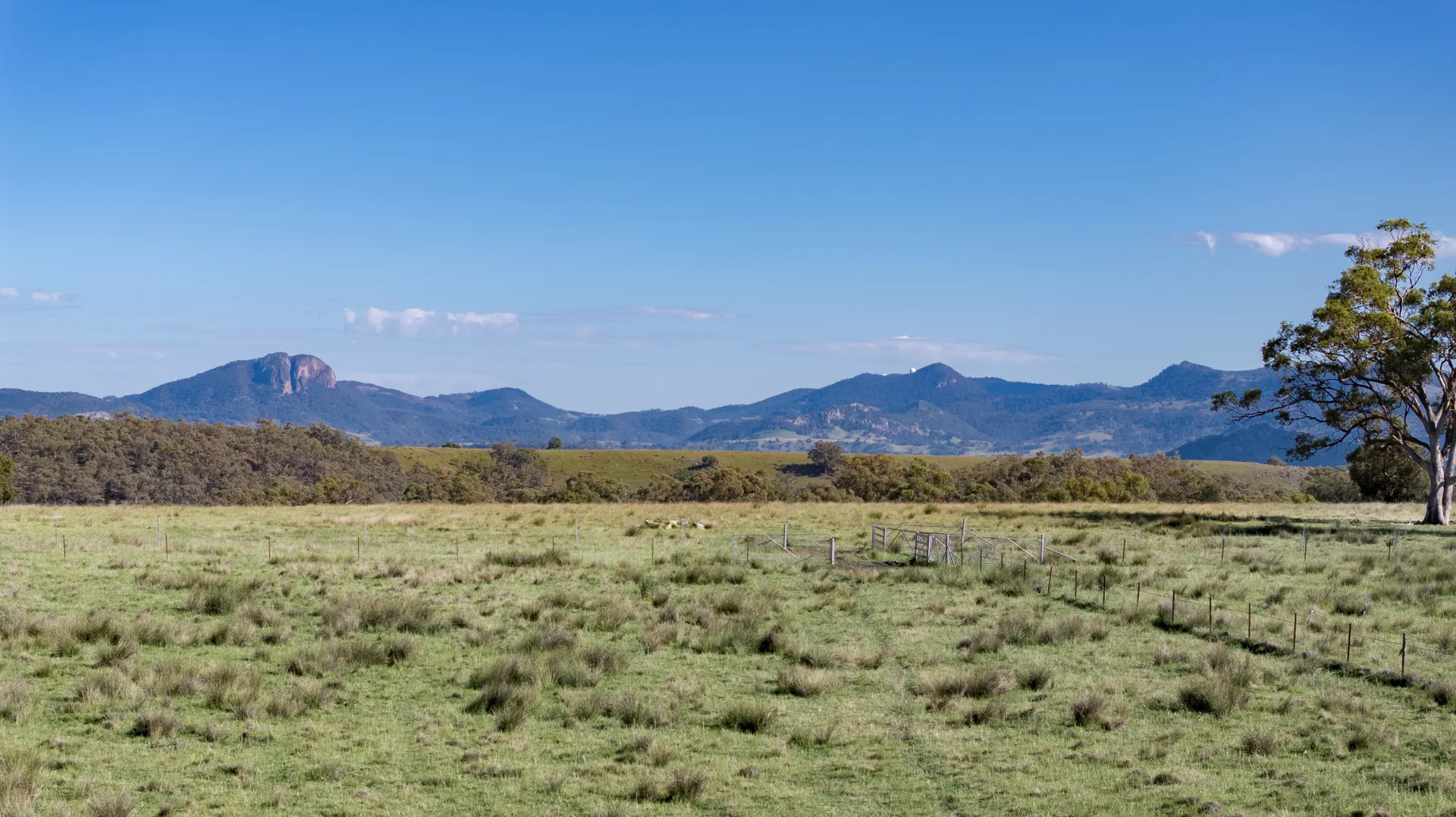 Additional image 10 of TIMBYDALE NEWELL HIGHWAY, Coonabarabran NSW 2357