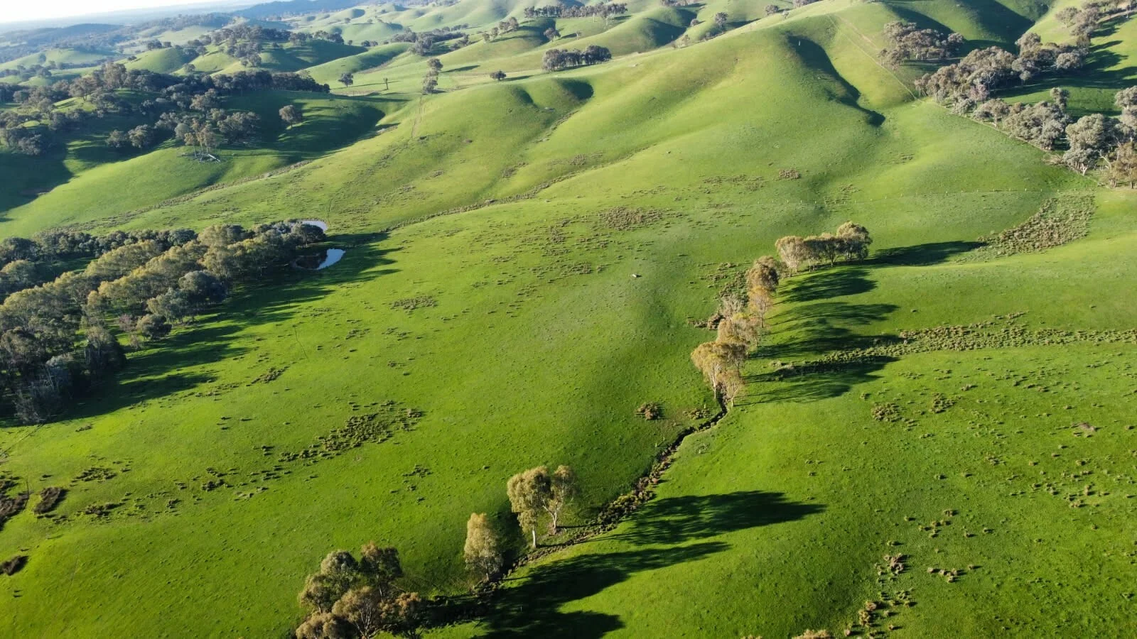 Additional image 17 of 409 McInnes Lane, Bobinawarrah VIC 3678