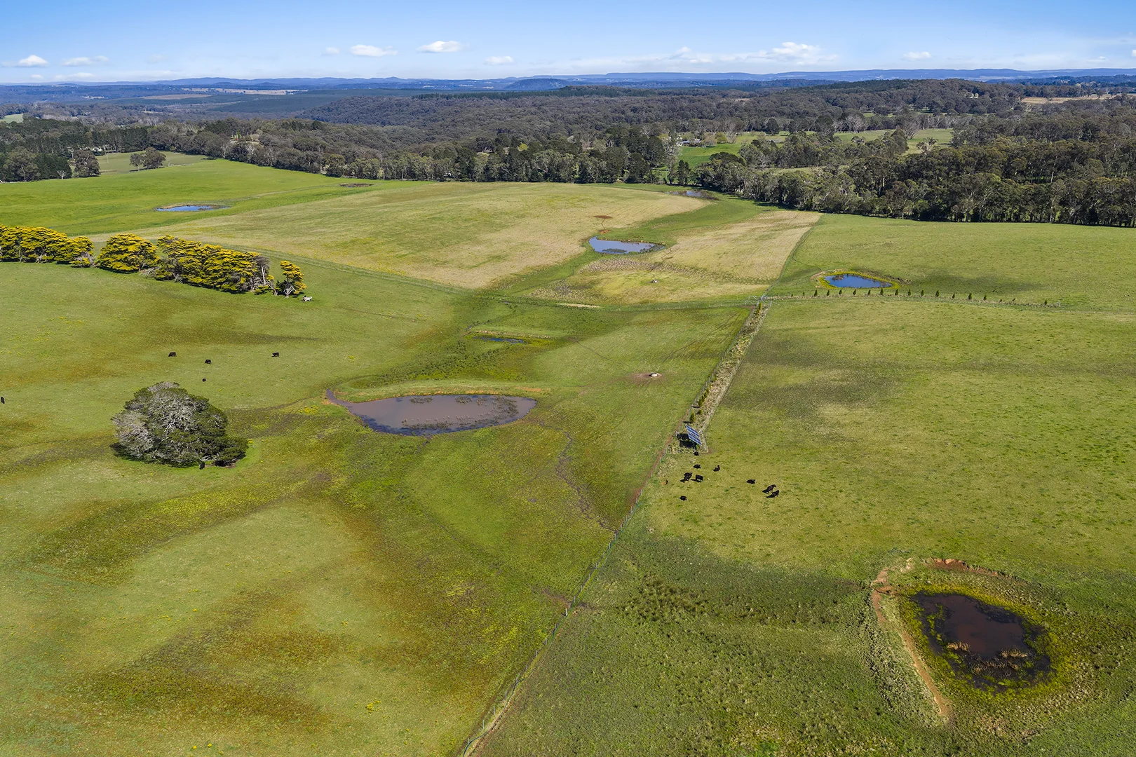 Additional image 24 of Exeter NSW 2579