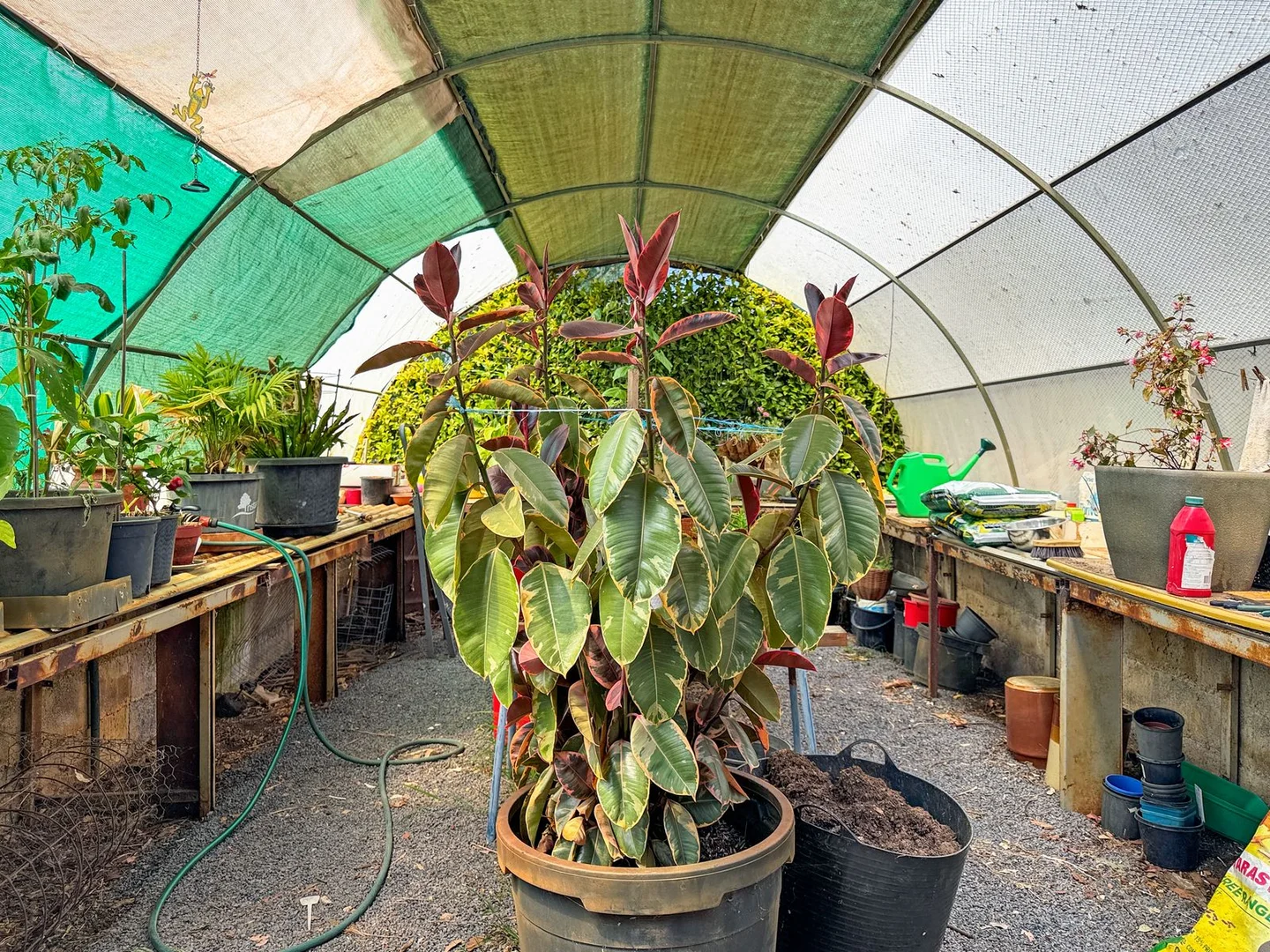 Additional image 22 of 554 Caralulup Road, Lamplough VIC 3352