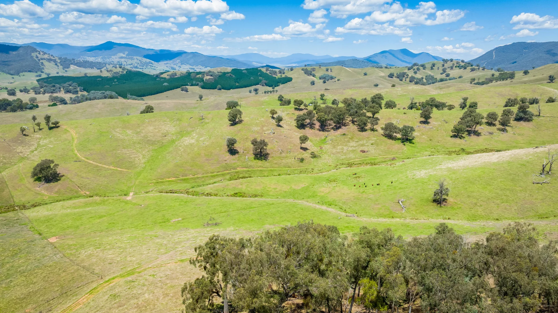 Additional image 16 of "Tom's" Tallys Lane, Tallangatta Valley VIC 3701