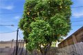 Additional image 21 of 311 S Mariposa St, Burbank, CA, 91506