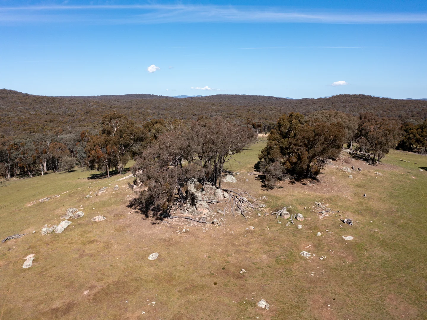 Additional image 3 of 7/7 East Triangle Road, Byawatha VIC 3678