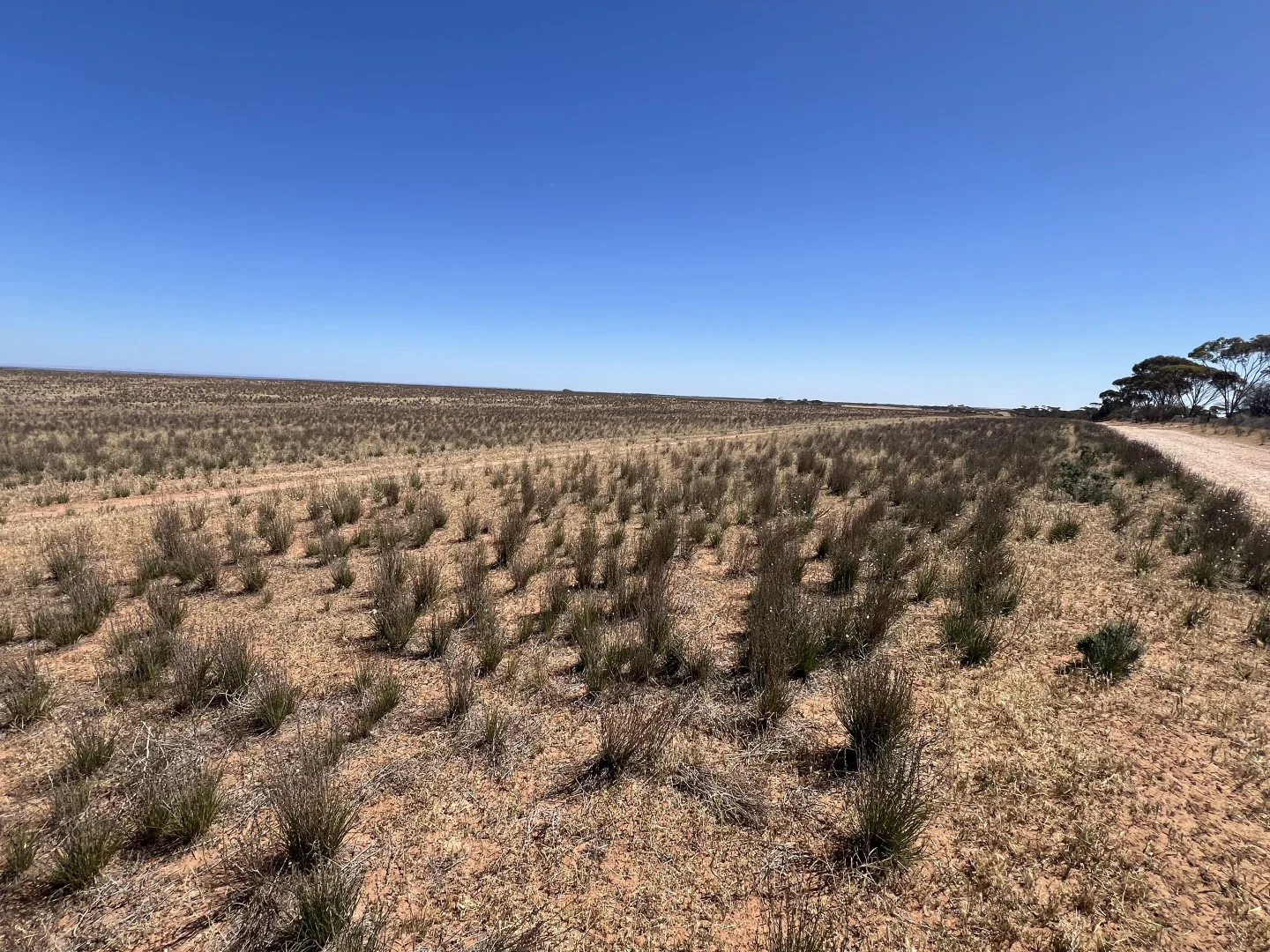 Additional image 10 of 752 Greenways Road, Nildottie SA 5238