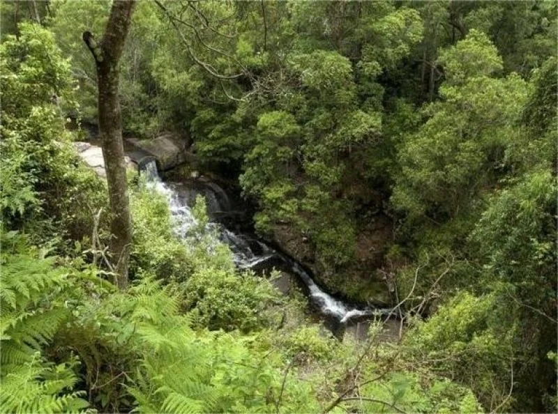 Additional image 8 of Bandon Grove NSW 2420