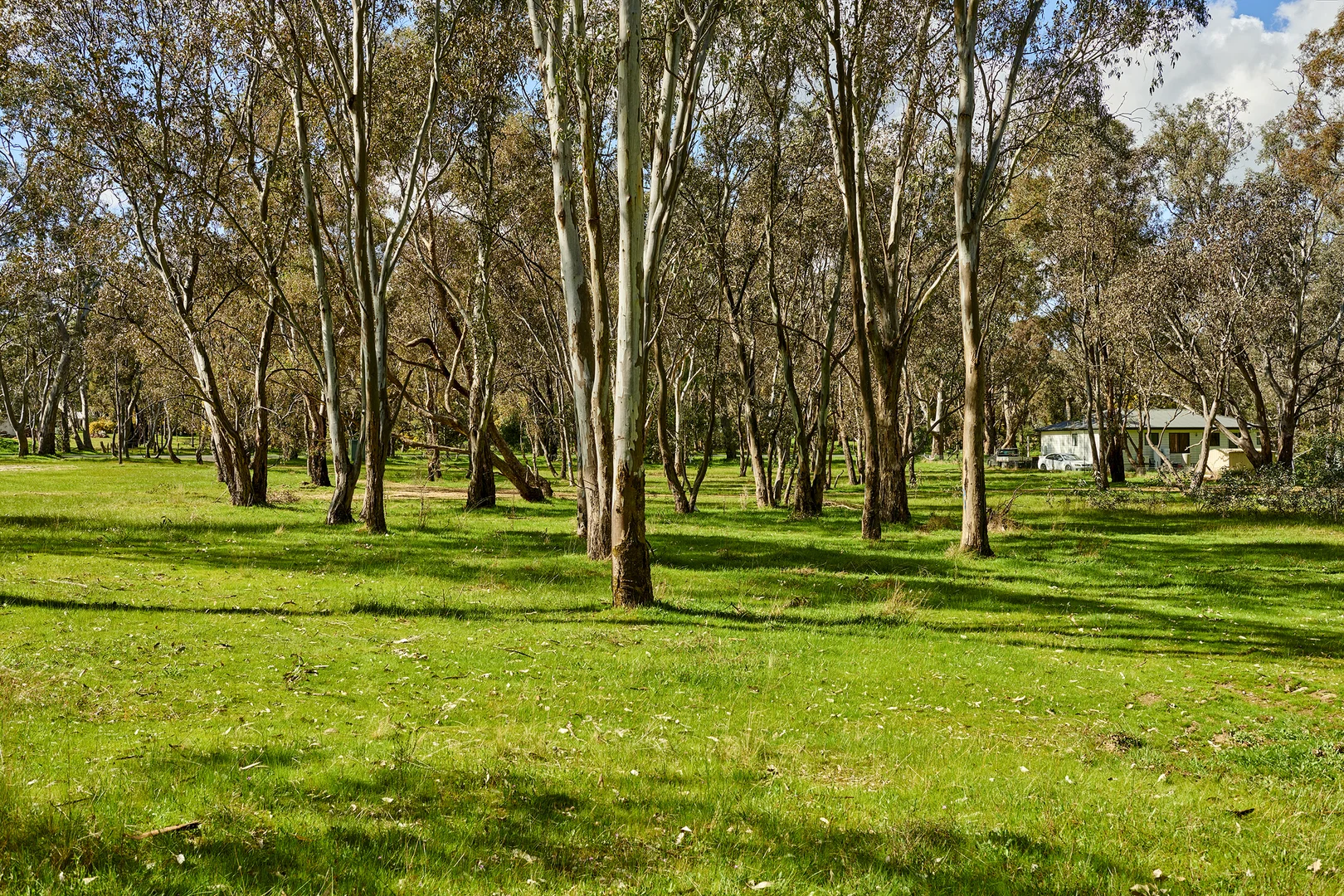 Additional image 9 of 83 Bennett Street, Heathcote VIC 3523