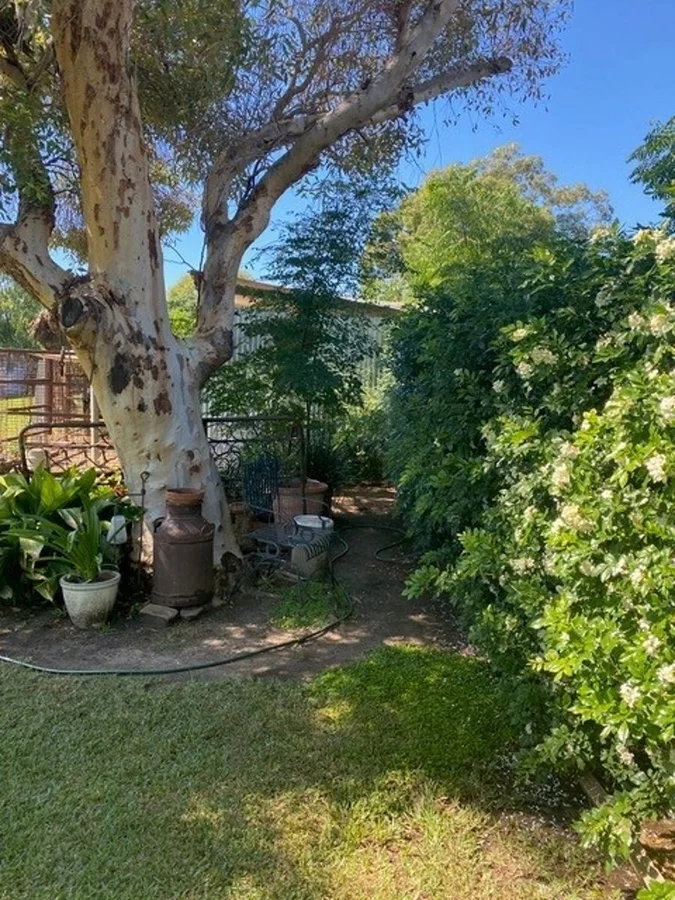 Additional image 25 of 26 Hermann Street, Coonamble NSW 2829