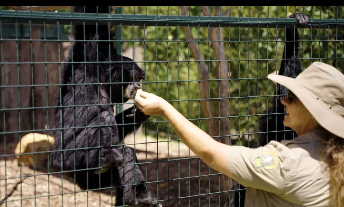 Additional image 31 of 21 Baines Road, Pilton QLD 4361